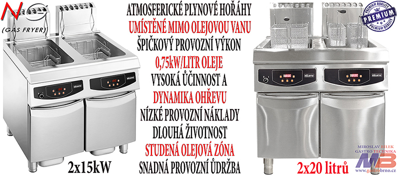 Plynová fritéza NGS 2020 2x20 litrů 30kW elektronické ovládání  